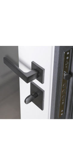 Стальная дверь  "Беркут" с зеркалом | Порошковое покрытие 