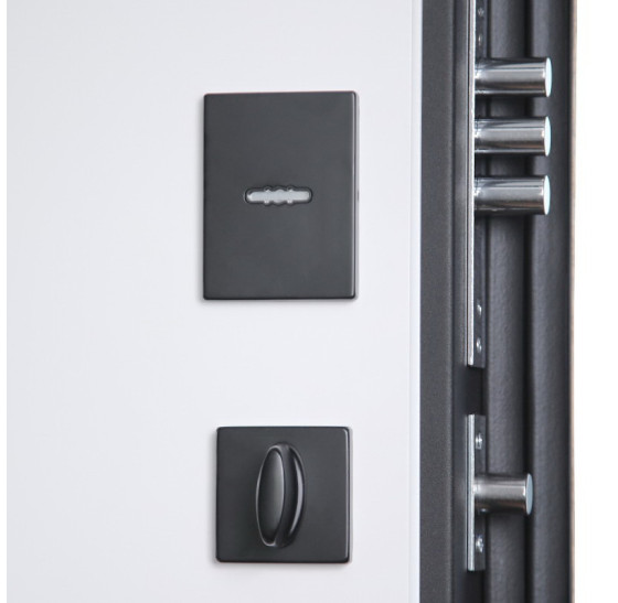Стальная дверь «Конструктор» (биометрический замок Smart lock Y23) | Порошковое покрытие 