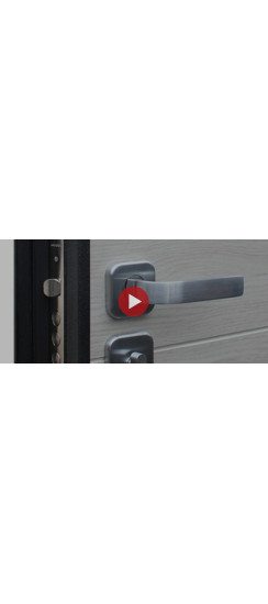 Стальная дверь "Next 1" | Порошковое покрытие 