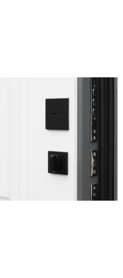 Стальная дверь "Лира" | Порошковое покрытие 