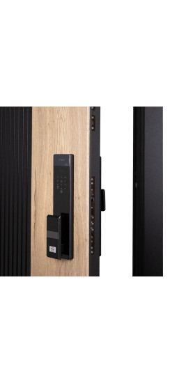 Стальная дверь «Конструктор» с зеркалом | Порошковое покрытие 