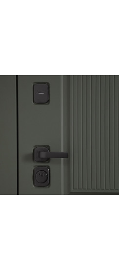 Стальная дверь "Scandi" | Порошковое покрытие 