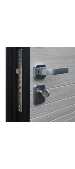 Стальная дверь "Next 2" | Порошковое покрытие 