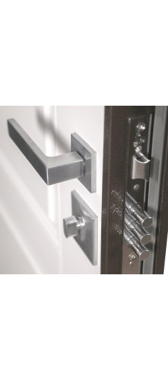 Стальная дверь "Лидер" | Порошковое покрытие 