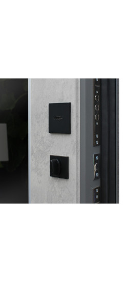 Стальная дверь "Дуэт Б" с зеркалом | Порошковое покрытие 