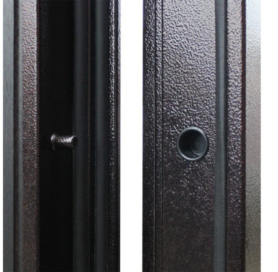 Стальная дверь "Спартак" для Вашего дома | Порошковое покрытие 