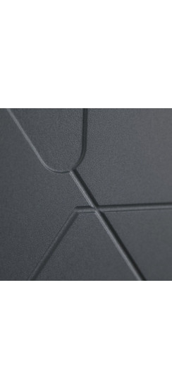 Стальная дверь "Forest" с зеркалом | Порошковое покрытие 