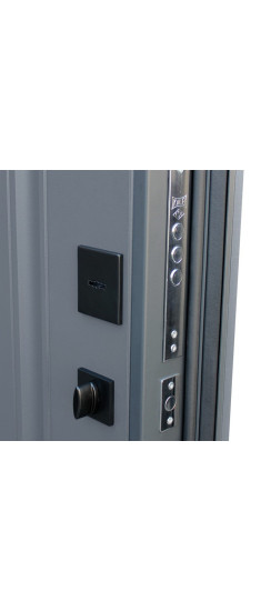 Стальная дверь "Гермес Неоклассика" | Порошковое покрытие 