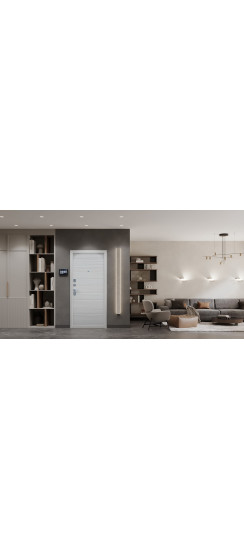 Стальная дверь "Next 1" | Порошковое покрытие 