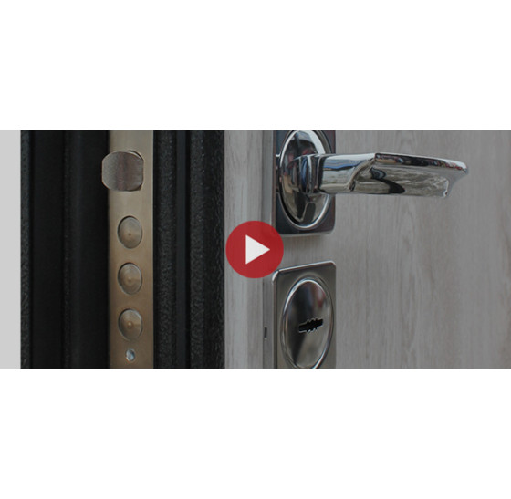 Стальная дверь "Север" (терморазрыв 3к) | Порошковое покрытие 