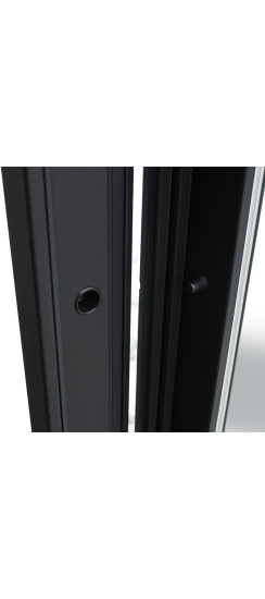 Стальная дверь "Бриг с зеркалом" | Порошковое покрытие 