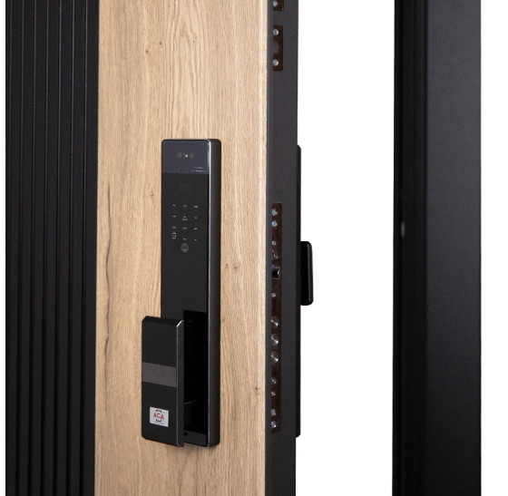 Стальная дверь «Конструктор» (биометрический замок Smart lock Y23) | Порошковое покрытие 