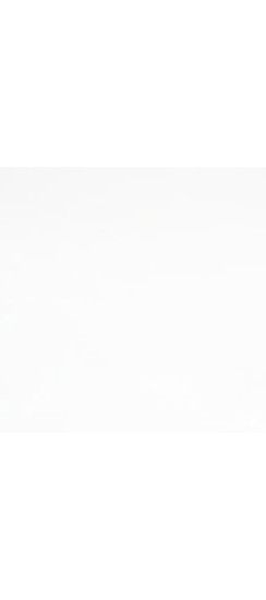 Стальная дверь "Бриг с зеркалом" | Порошковое покрытие 