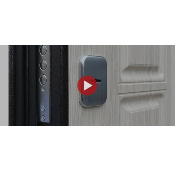 Стальная дверь "Спартак" для Вашего дома | Порошковое покрытие 