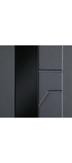 Стальная дверь "Forest" с зеркалом | Порошковое покрытие 