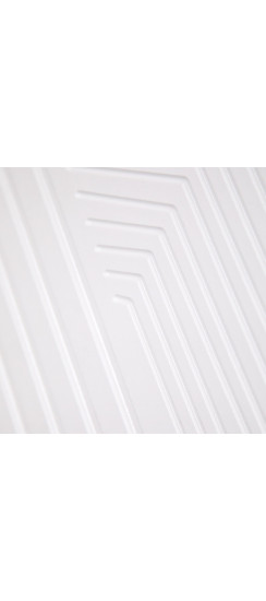 Стальная дверь "Авангард" (биометрический замок) | Порошковое покрытие 