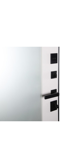 Стальная дверь "Фаворит" с матовым зеркалом. Заказная модель. | Порошковое покрытие 