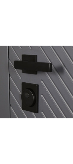 Стальная дверь "Бастион" с зеркалом. Заказная модель. | Порошковое покрытие 