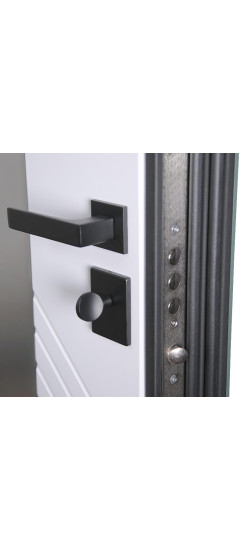 Стальная дверь "Альфа" с зеркалом. Заказная модель. | Порошковое покрытие 