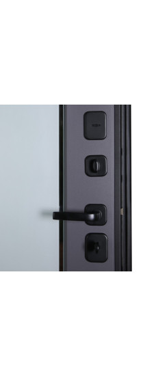 Стальная дверь "Ego". Заказная модель. | Порошковое покрытие 