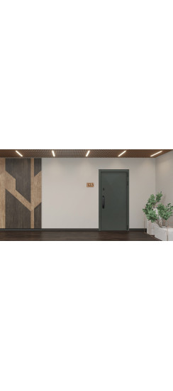 Стальная дверь "Vertu" с зеркалом (биометрический замок) | Порошковое покрытие 