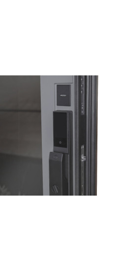 Стальная дверь "Гамма". Заказная модель. | Порошковое покрытие 