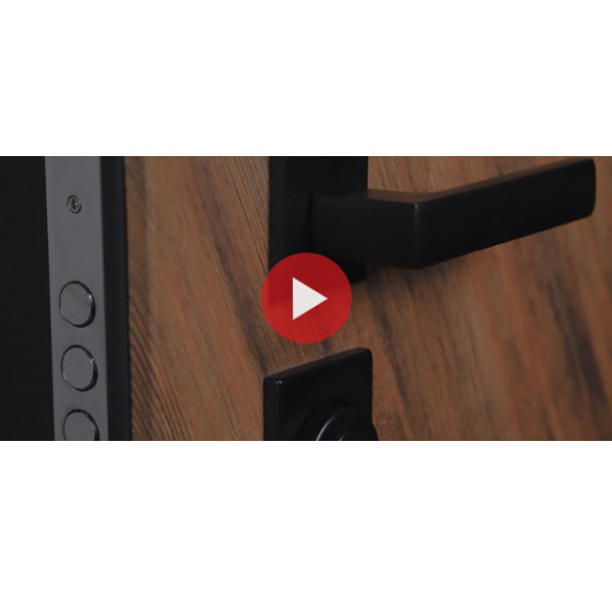 Стальная дверь "Loft" с зеркалом (адаптивная замковая часть). | Порошковое покрытие 