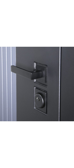 Стальная дверь "Tesoro". Заказная модель. | Порошковое покрытие 