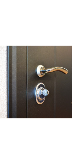 Стальная дверь "Агата 3". Заказная модель. | Порошковое покрытие 