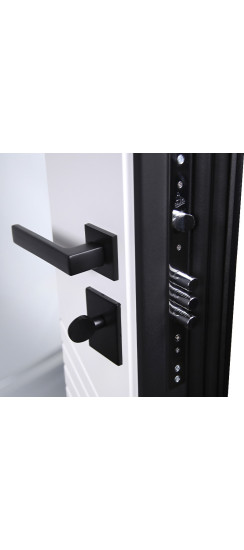 Стальная дверь "Форт" с зеркалом | Порошковое покрытие 