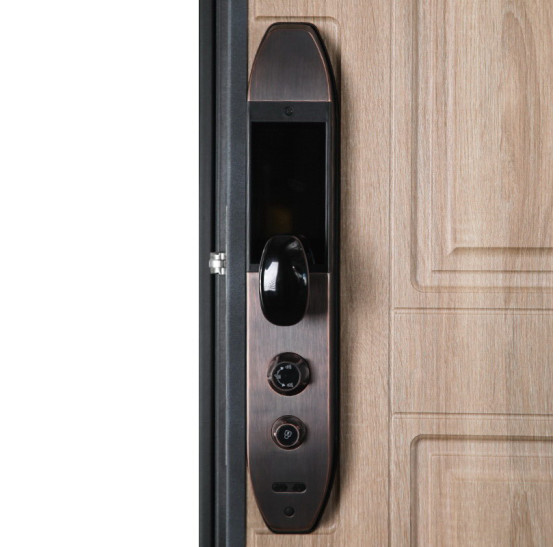 Стальная дверь "Royal". Заказная модель. | Порошковое покрытие 