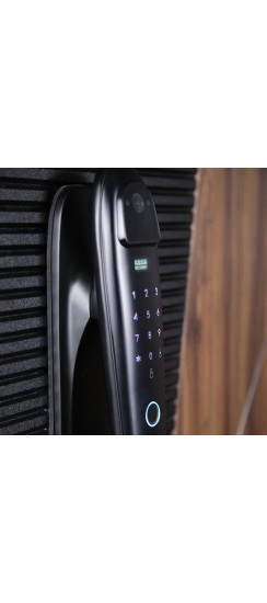 Стальная дверь "Берилл" с зеркалом (биометрический замок DZ 888). Заказная модель. | Порошковое покрытие 