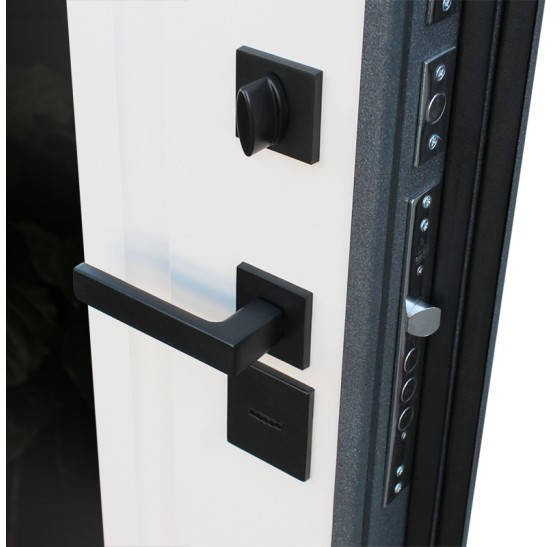 Стальная дверь "Арктика" с зеркалом (терморазрыв 3к). Заказная модель. | Порошковое покрытие 