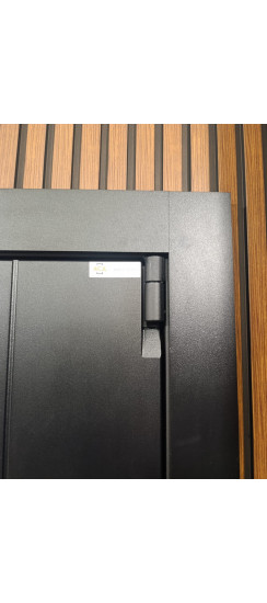 Стальная дверь "Freedom" с зеркалом. Заказная модель. | Порошковое покрытие 