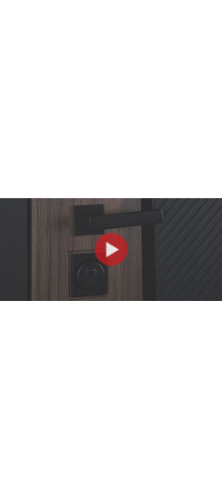 Стальная дверь "Tino". Заказная модель. | Порошковое покрытие 