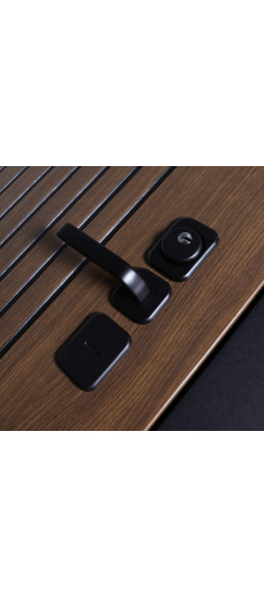 Стальная дверь «Sena» с зеркалом. Заказная модель. | Порошковое покрытие 