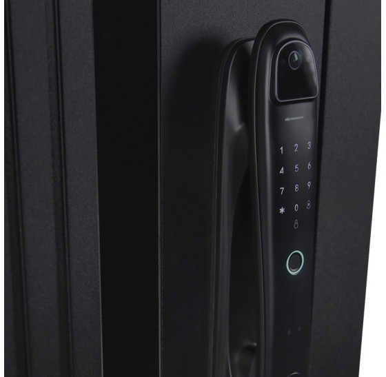 Стальная дверь "Silver" с зеркалом (биометрический замок) | Порошковое покрытие 