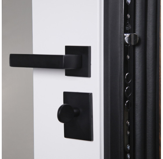 Стальная дверь "Loft" с зеркалом (адаптивная замковая часть). | Порошковое покрытие 