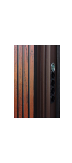 Стальная дверь "Фараон". Заказная модель. | Два цвета покрытия коробки: внешняя сторона - 