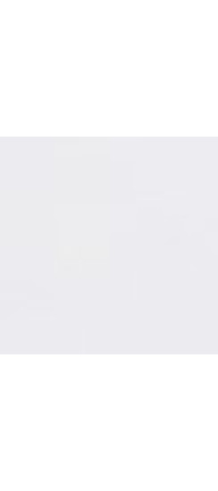 Стальная дверь "Зетта" с зеркалом. Заказная модель. | Порошковое покрытие  