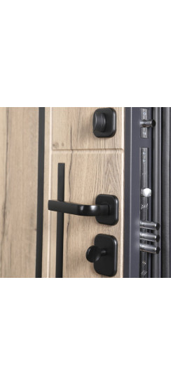 Стальная дверь "Lanua". Заказная модель. | Порошковое покрытие 