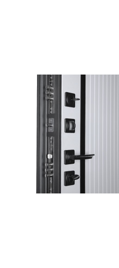 Стальная дверь "Тунис". Заказная модель. | Порошковое покрытие 