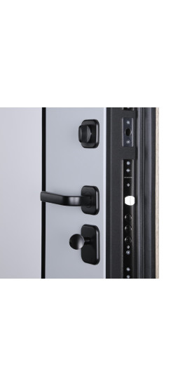 Стальная дверь "Монако". Заказная модель. | Порошковое покрытие 