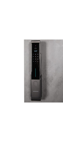 Стальная дверь "Сантос". Заказная модель. | Порошковое покрытие 