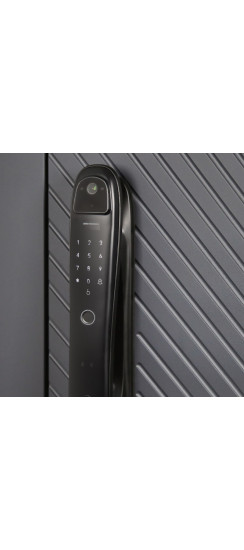 Стальная дверь "Бастион" с зеркалом (биометрический замок) | Порошковое покрытие 