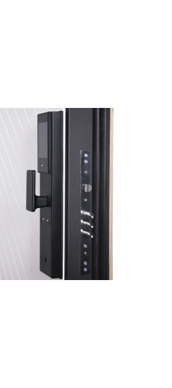 Стальная дверь "Бастион" с биометрическим замком | Порошковое покрытие 