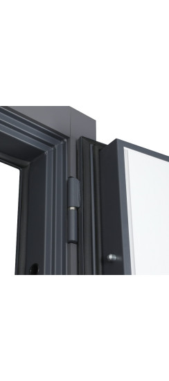 Стальная дверь "Амур". Заказная модель. | Порошковое покрытие 