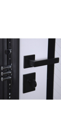 Стальная дверь "Гавана". Заказная модель. | Порошковое покрытие 