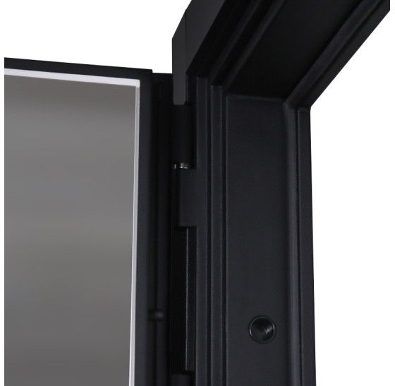 Стальная дверь "Silver" с зеркалом. Заказная модель. | Порошковое покрытие 