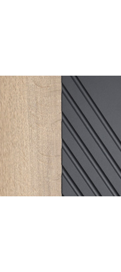 Стальная дверь "Бастион" с биометрическим замком | Порошковое покрытие 